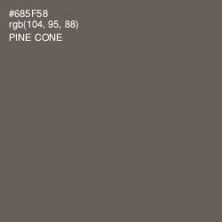 #685F58 - Pine Cone Color Image